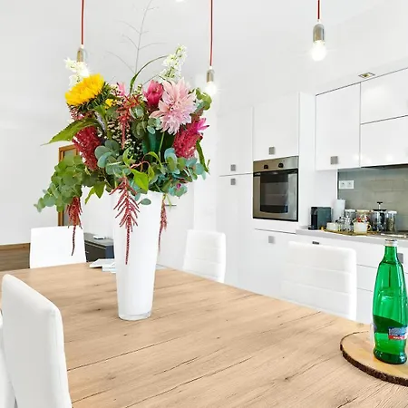 Apartment Vip *