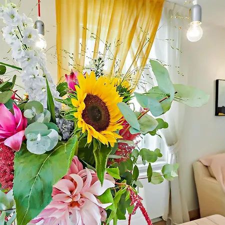 Vip Apartment *