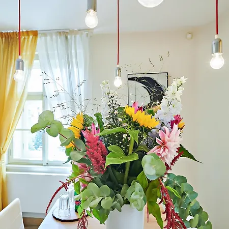 Apartment Vip *