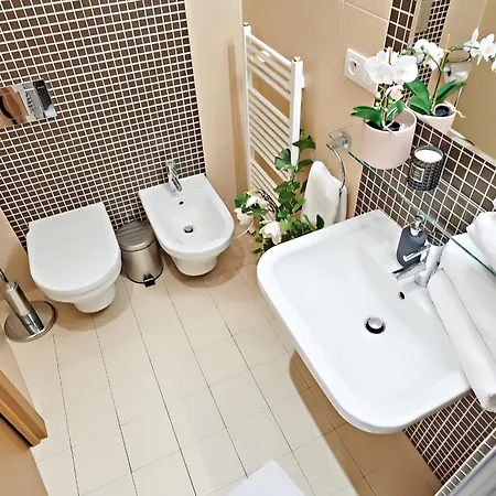 Vip Petrska 25 *