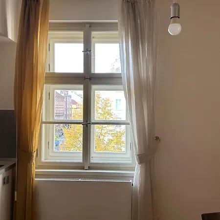 Vip Petrska 25 براغ